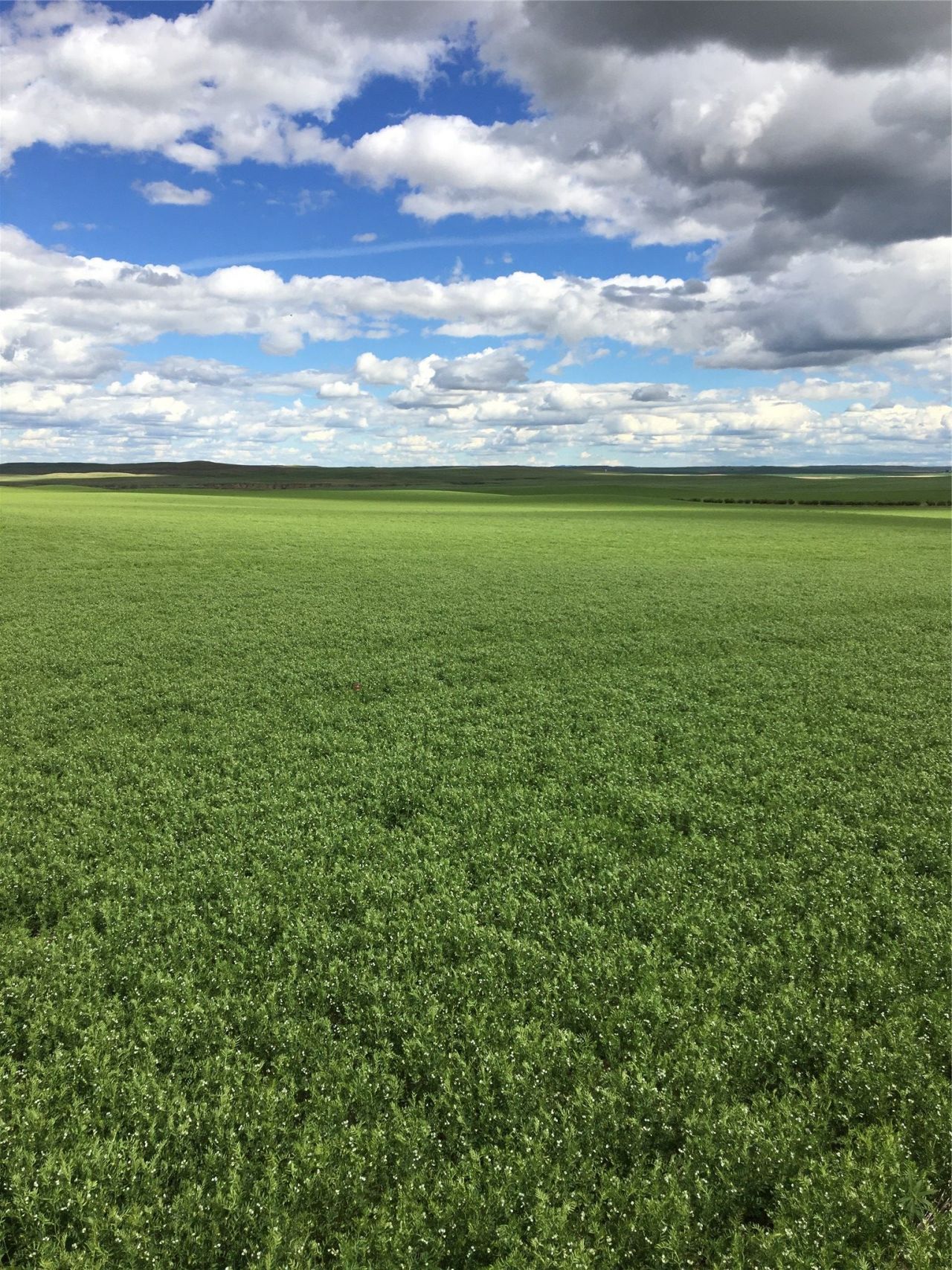 Ukn Flat Creek Road, Geraldine, MT 59446 Main Photo