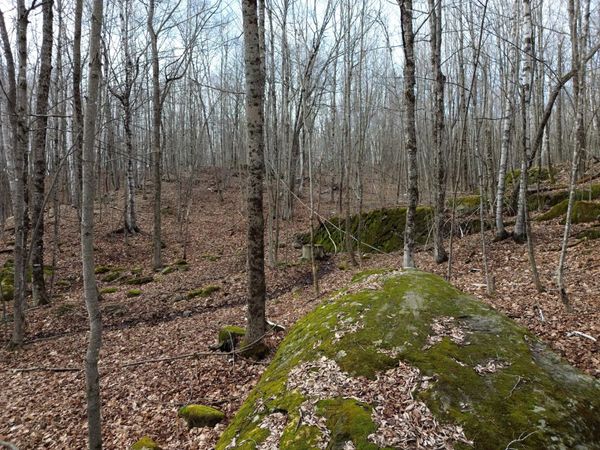 62 Grove Street , Dexter, ME 04930