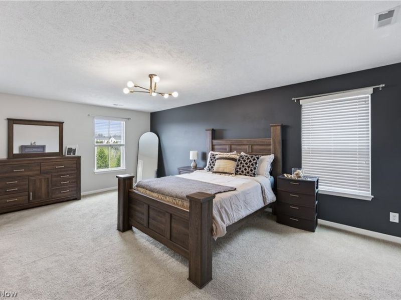 872 Hilliary Lane, Aurora, OH 44202 Photo 20