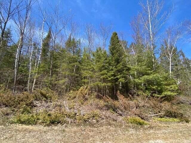 Lot 254 Pineview Drive, Presque Isle, MI 49777 Main Photo