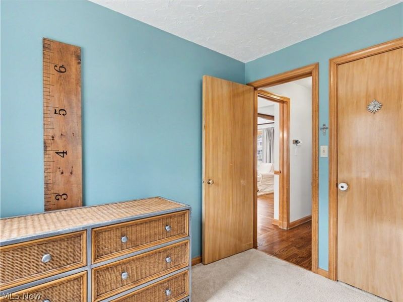 241 Lownsdale Avenue, Akron, OH 44313 Photo 17