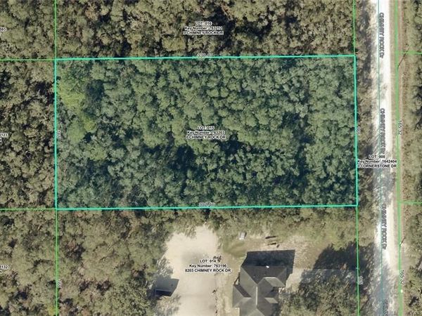 8223 Chimney Rock DR, WEBSTER, FL 33597