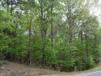 978 Rolling Hills Road, Ridgeway, SC 29130