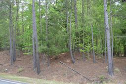 978 Rolling Hills Road photo 4