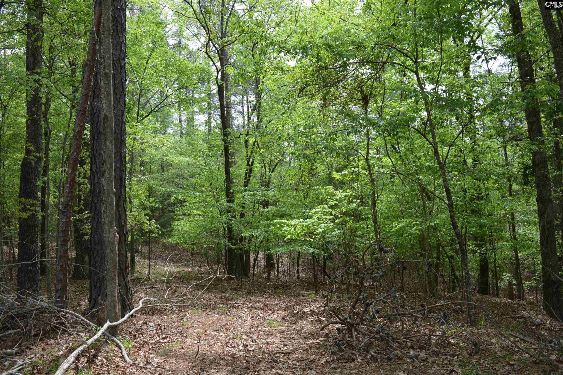 978 Rolling Hills Road Photo 6