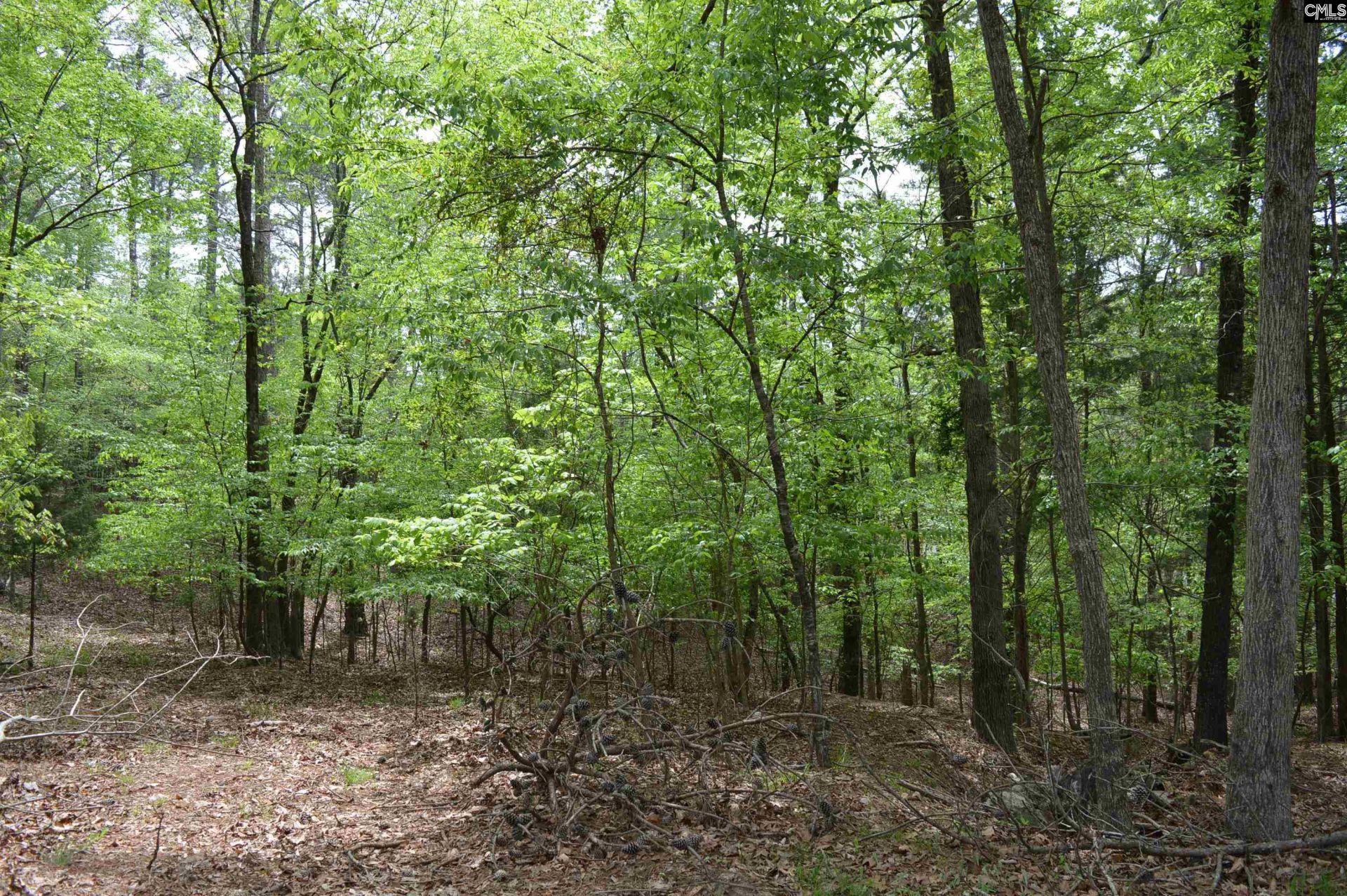 978 Rolling Hills Road Photo 7