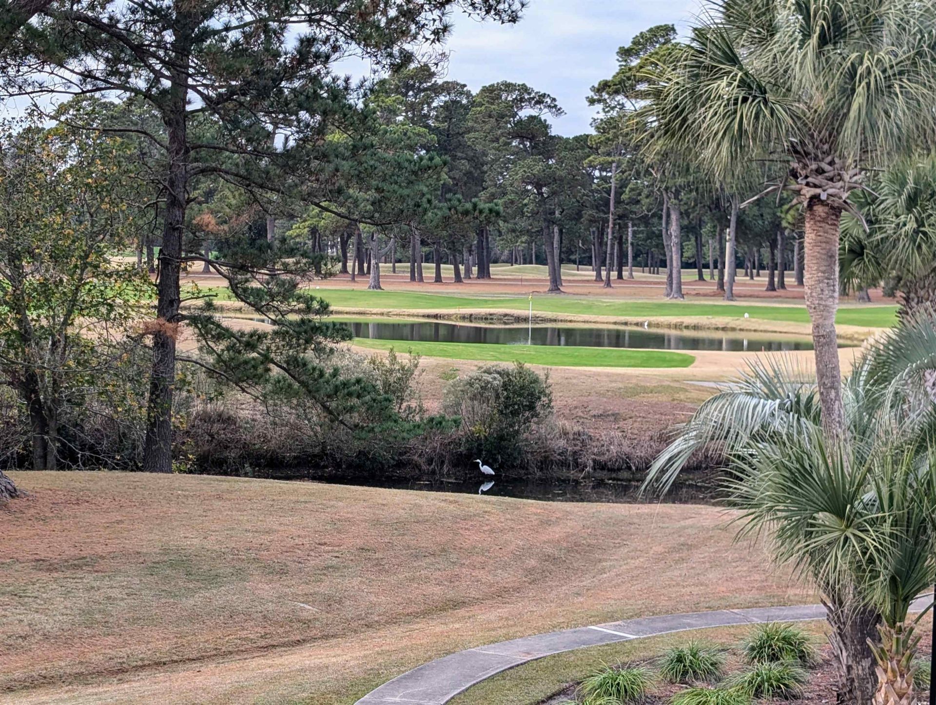 4773 Wild Iris Dr. Photo 27