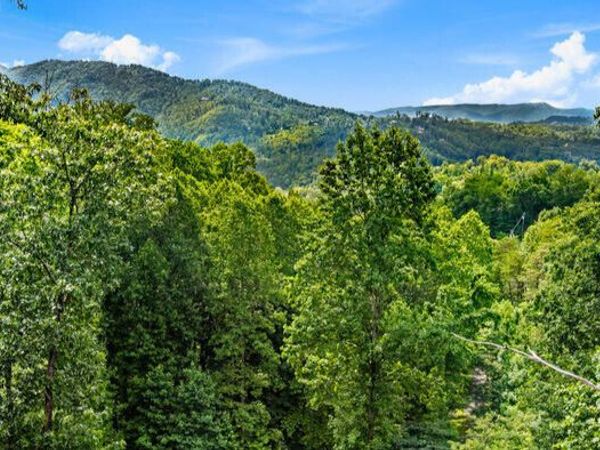 1119 E Kings Ridge Road, Gatlinburg, TN 37738