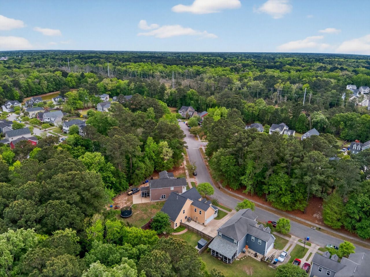 1244 Segar Street Photo 45