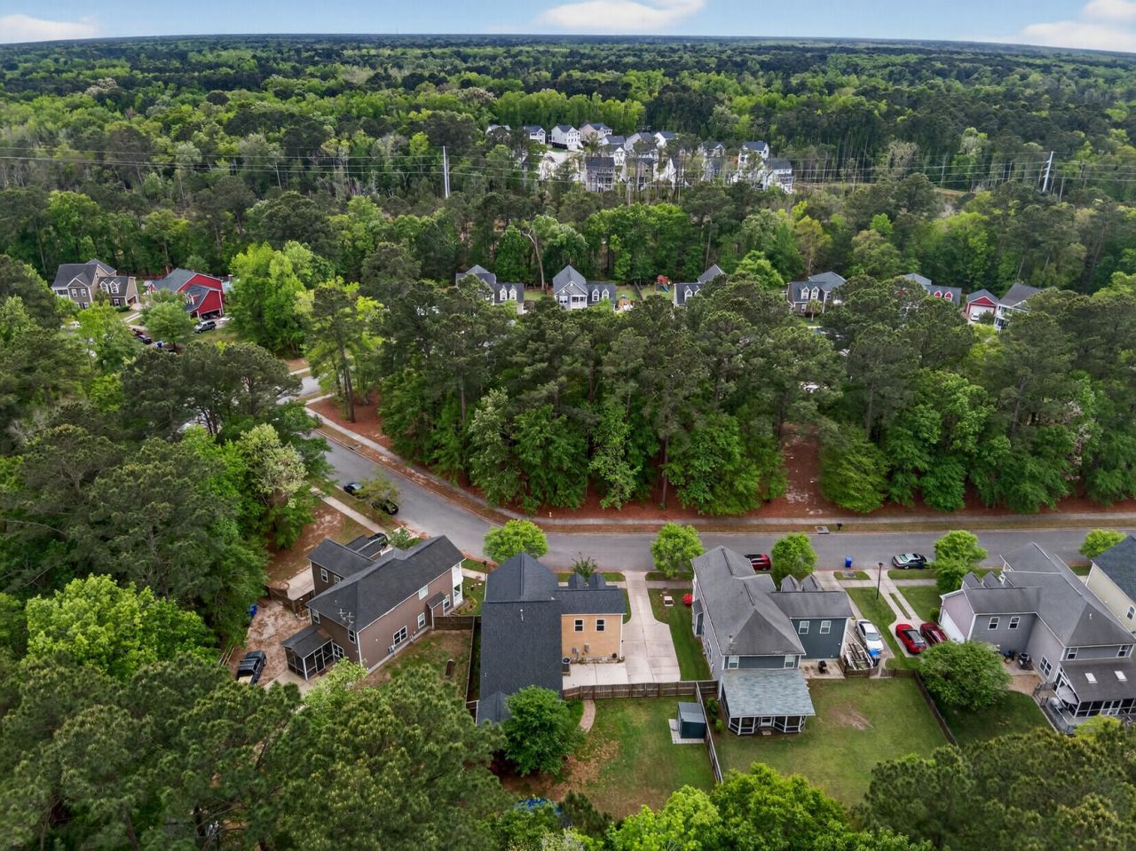 1244 Segar Street Photo 46