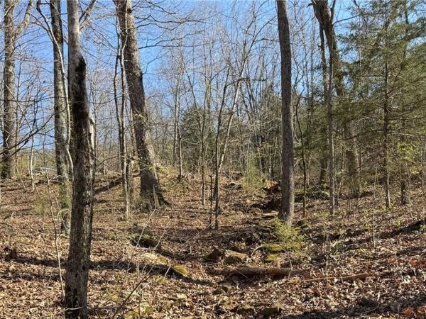 Madison Co 5430 Road , Crosses, AR 72727