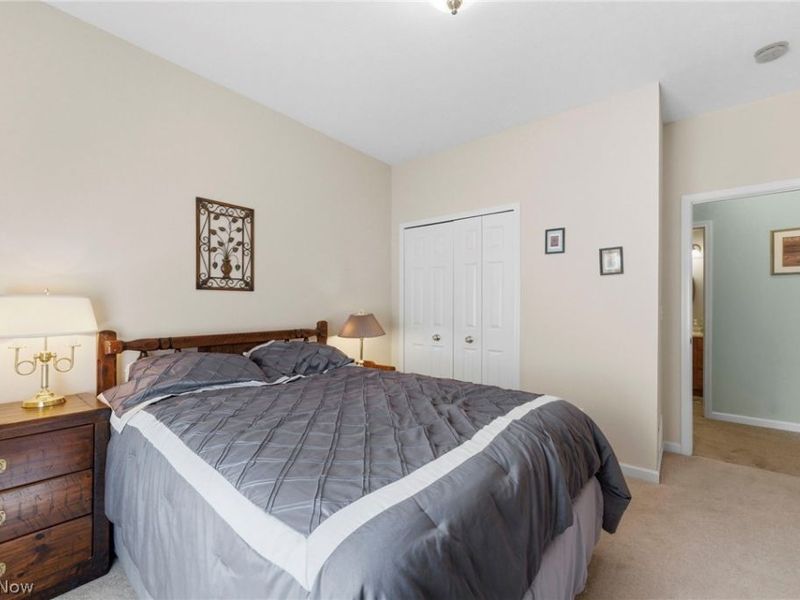 13360 Green Drive, Chesterland, OH 44026 Photo 23