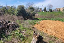 E/s Tremont Avenue photo 4