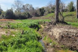 E/s Tremont Avenue photo 4