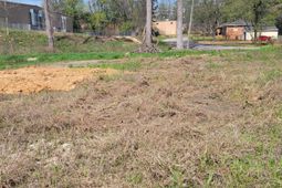 E/s Tremont Avenue photo 4