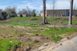 E/s Tremont Avenue photo 4