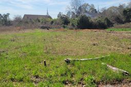 E/s Tremont Avenue photo 4