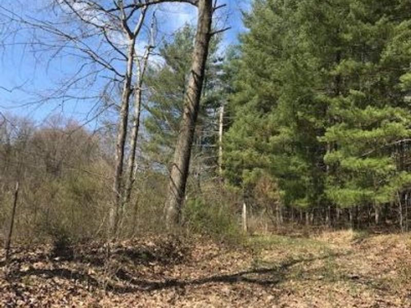 8573 Painter Run Road NE, Newark, OH 43055 Photo 4