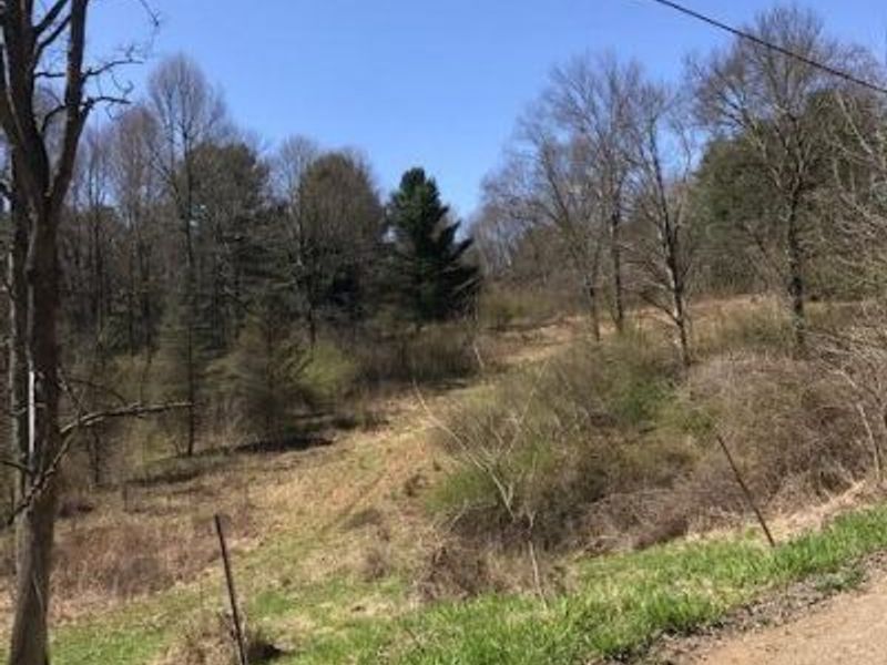 8573 Painter Run Road NE, Newark, OH 43055 Photo 6