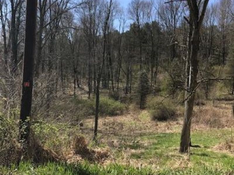 8573 Painter Run Road NE, Newark, OH 43055 Photo 7