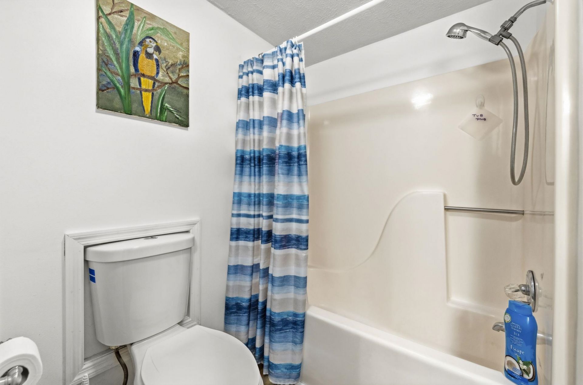 305 21st Ave. S Photo 12