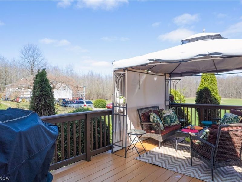 7299 State Route 303, Windham, OH 44288 Photo 40