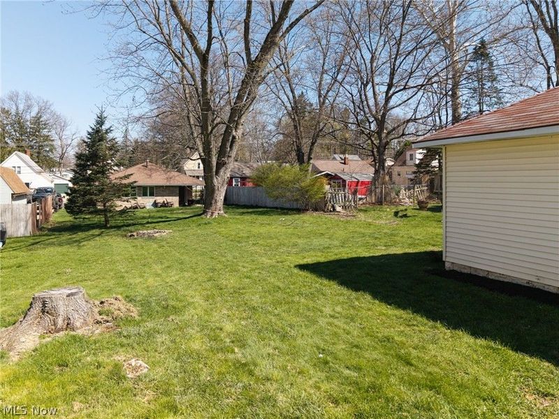 168 Simcox Street, Wadsworth, OH 44281 Photo 25