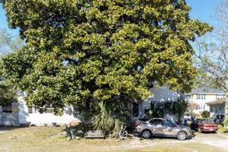 406 13th Ave. S  photo 4