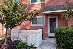 100 Shadow Moss Pl. photo 4