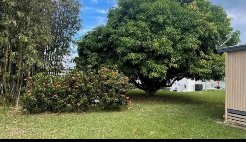 199 Flamingo Avenue, Fort Pierce, FL 34982 Photo