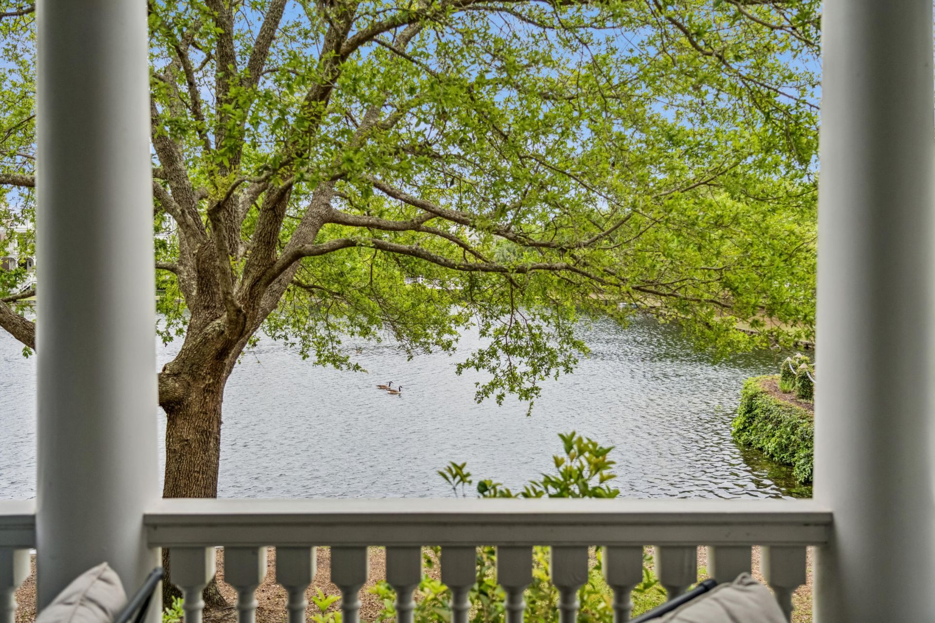 62 Fernandina Street Photo 19