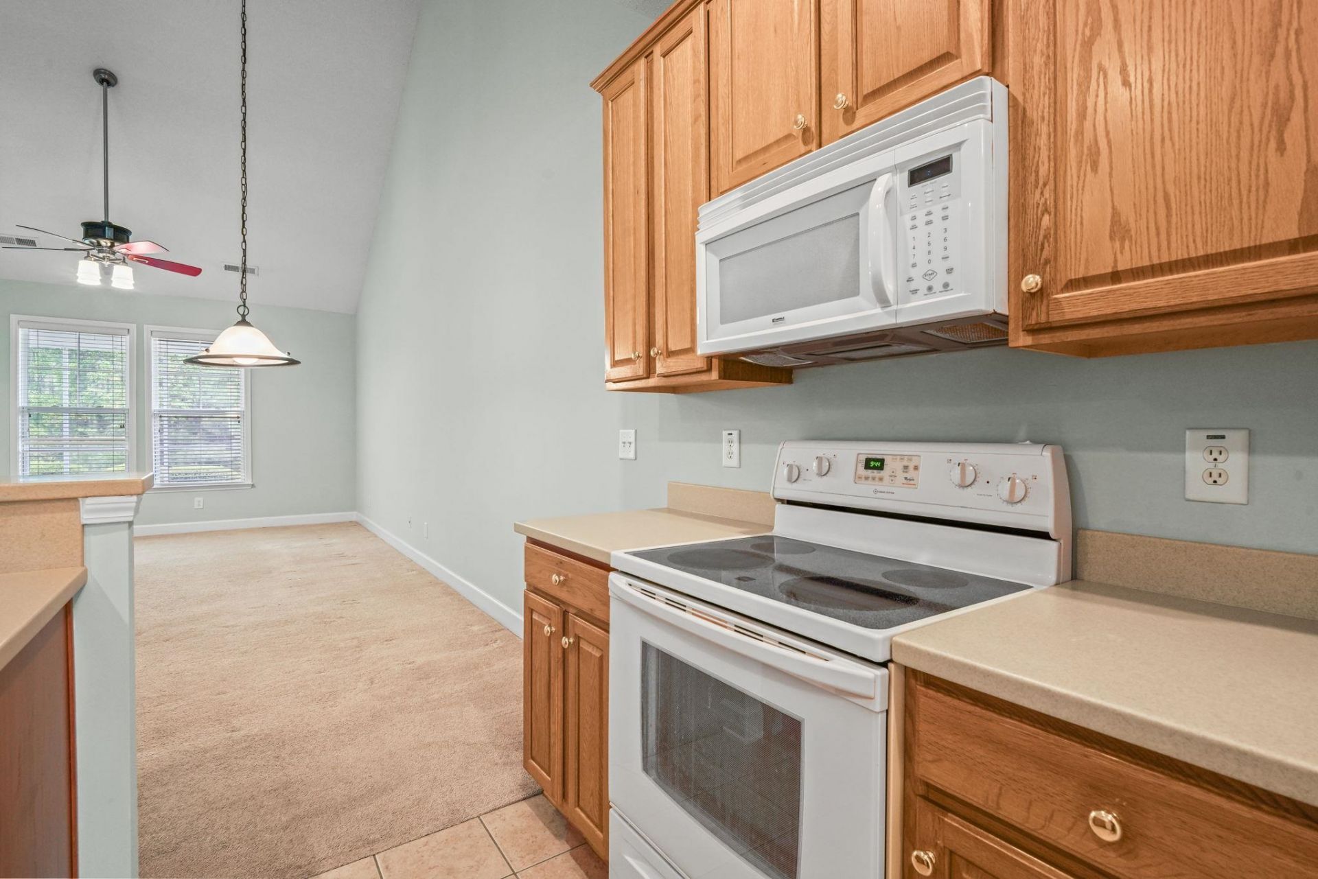 200 Mossy Stone Ct. Photo 7