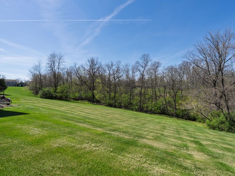 110 Langsdale Point, Crittenden, KY 41030 Photo 7