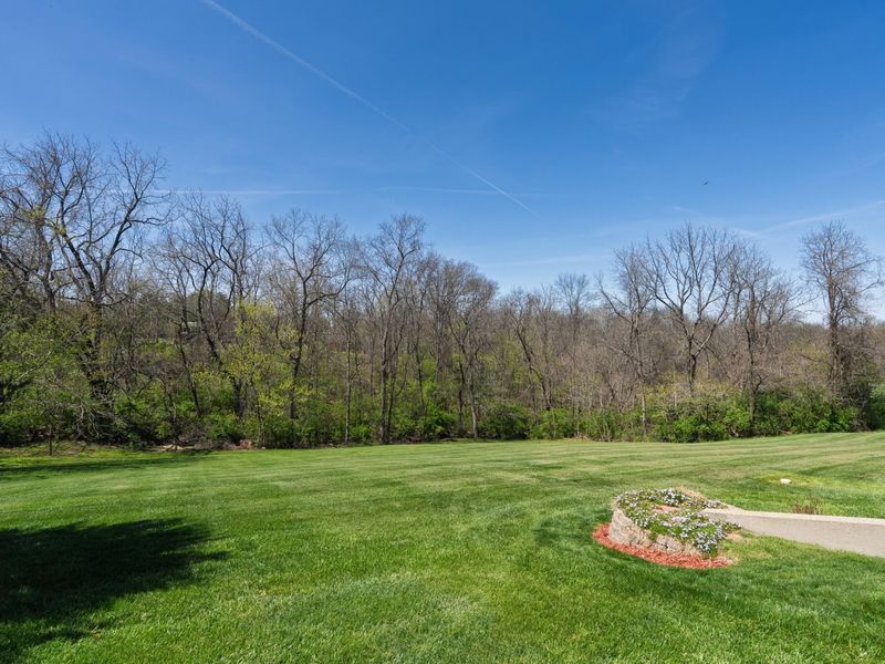 110 Langsdale Point, Crittenden, KY 41030 Photo 8