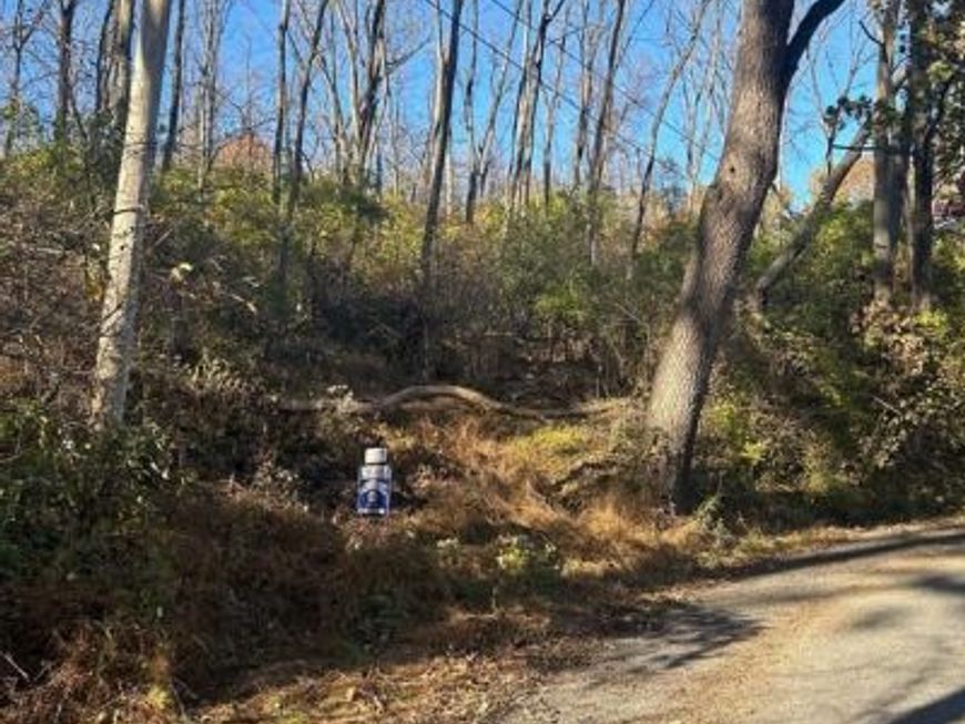 Lot #4 Heidel Road, Robesonia, PA 19551 Main Photo