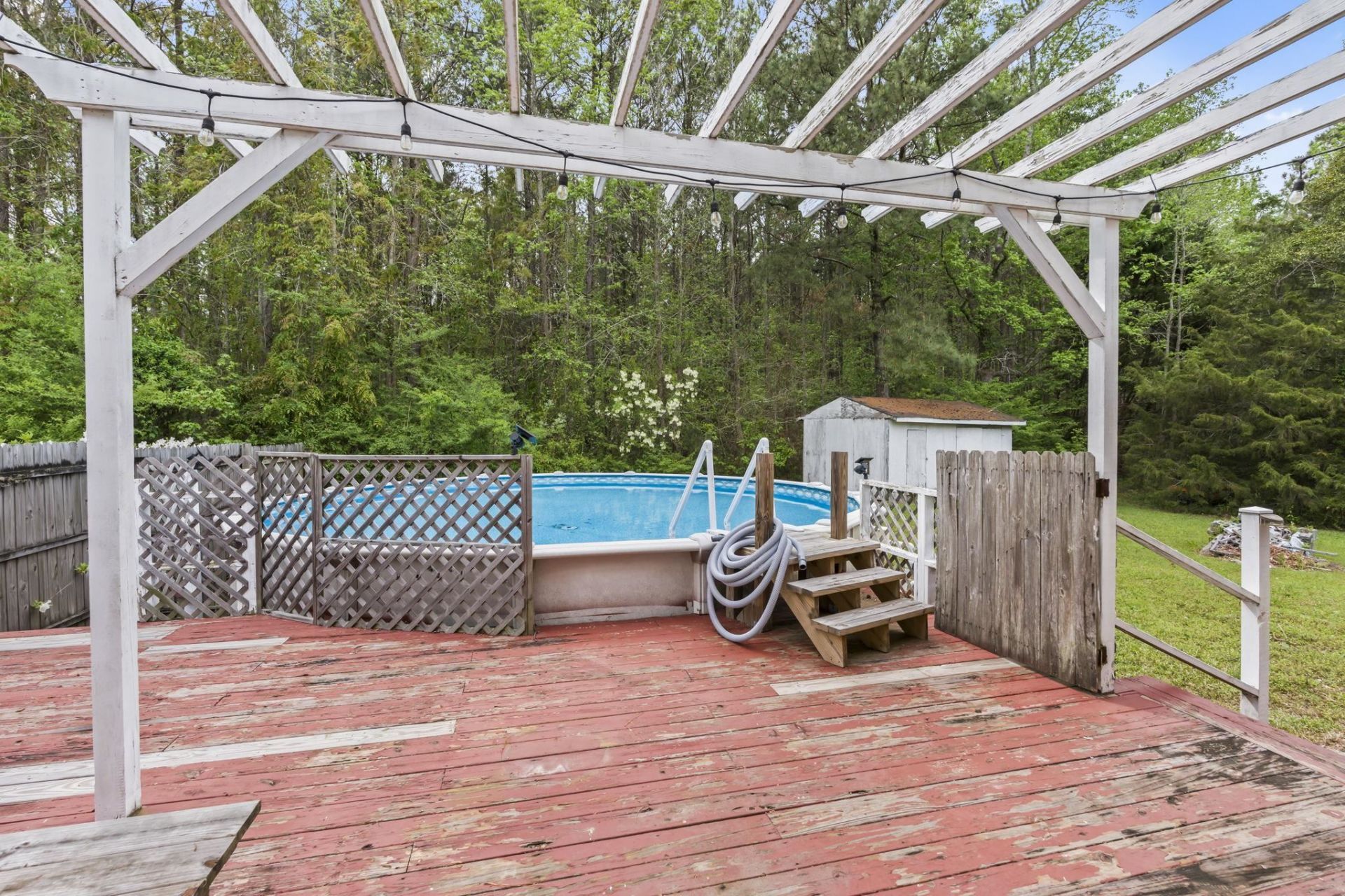 11831 N Highway 905 Photo 28