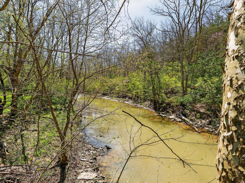 9344 Flagg Springs Pike, California, KY 41007 Photo 30