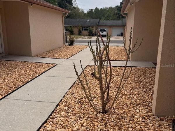 1125 E ROHE STREET , Unit B, TARPON SPRINGS, FL 34689