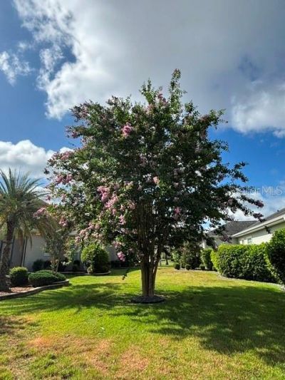 2254 Isleworth Circle, The Villages, FL 32163 Photo