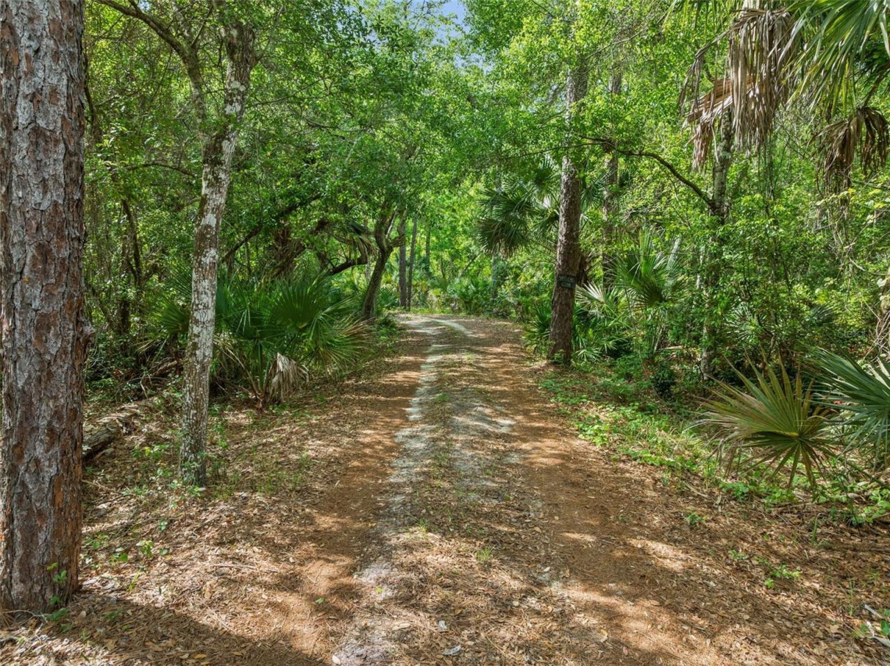 2260 Panorama Drive, Chuluota, FL 32766 Photo