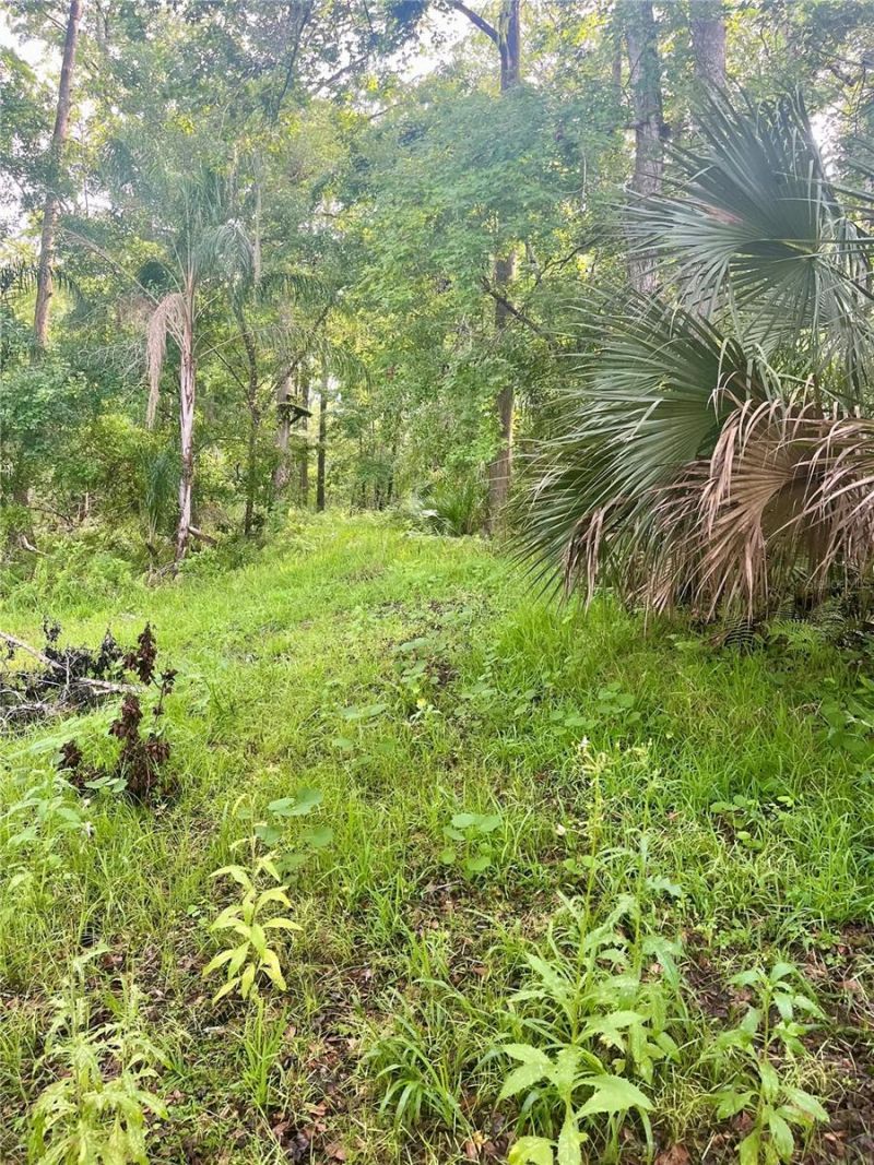2260 Panorama Drive, Chuluota, FL 32766 Photo