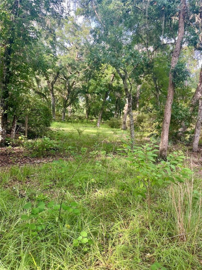 2260 Panorama Drive, Chuluota, FL 32766 Photo