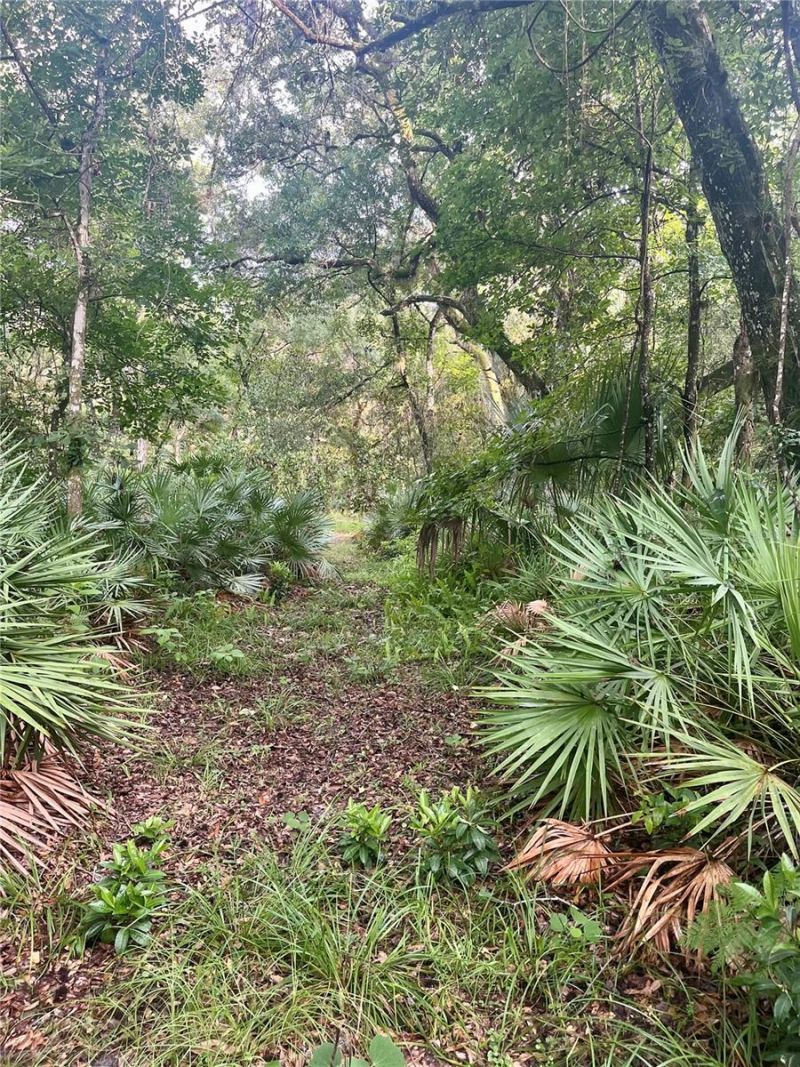2260 Panorama Drive, Chuluota, FL 32766 Photo