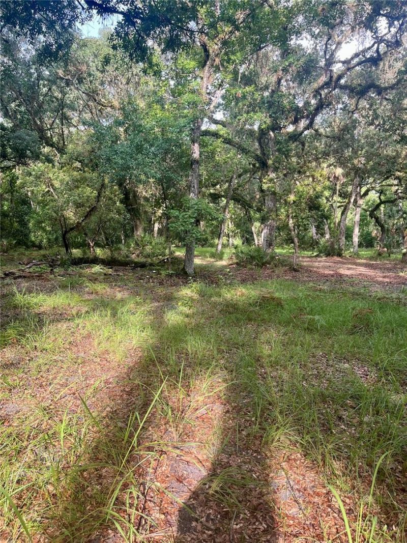2260 Panorama Drive, Chuluota, FL 32766 Photo