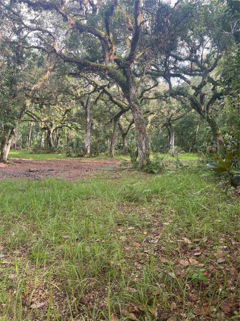 2260 Panorama Drive, Chuluota, FL 32766 Photo