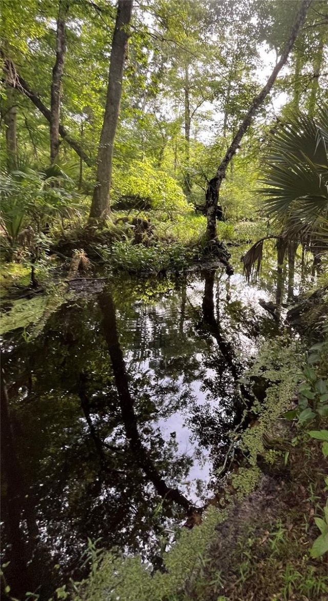 2260 Panorama Drive, Chuluota, FL 32766 Photo