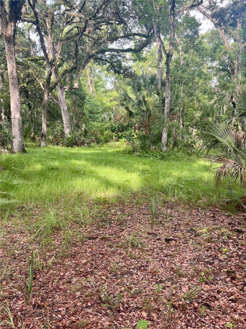 2260 Panorama Drive, Chuluota, FL 32766 Photo