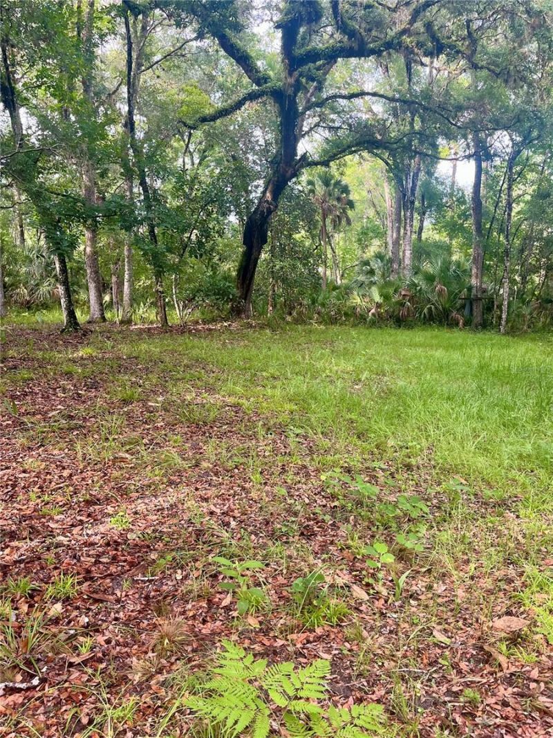 2260 Panorama Drive, Chuluota, FL 32766 Photo