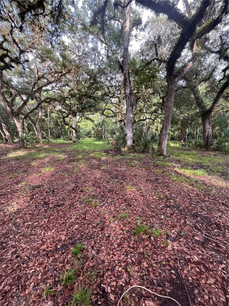 2260 Panorama Drive, Chuluota, FL 32766 Photo