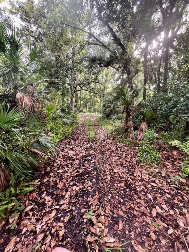 2260 Panorama Drive, Chuluota, FL 32766 Photo
